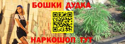 СК Новозыбков