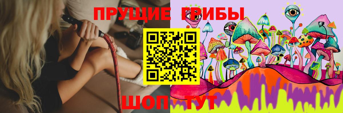 Галлюциногенные грибы Psilocybine cubensis Тосно